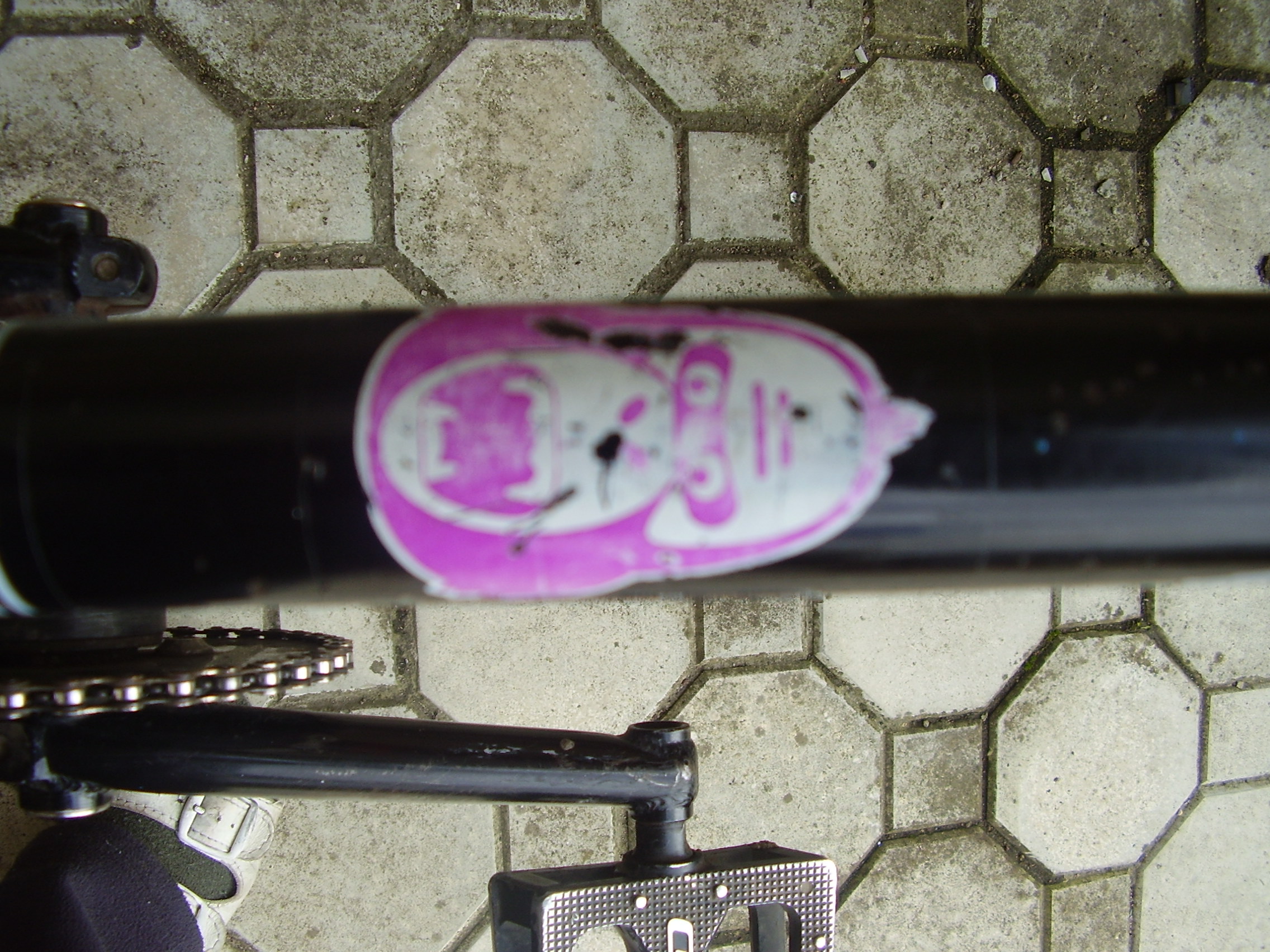 P4090075.JPG